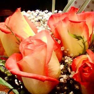 Meet your Posher, Cindy